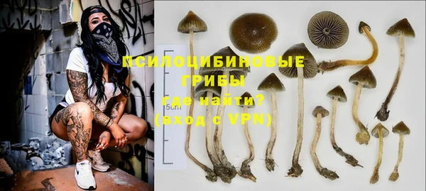 дмт Навашино